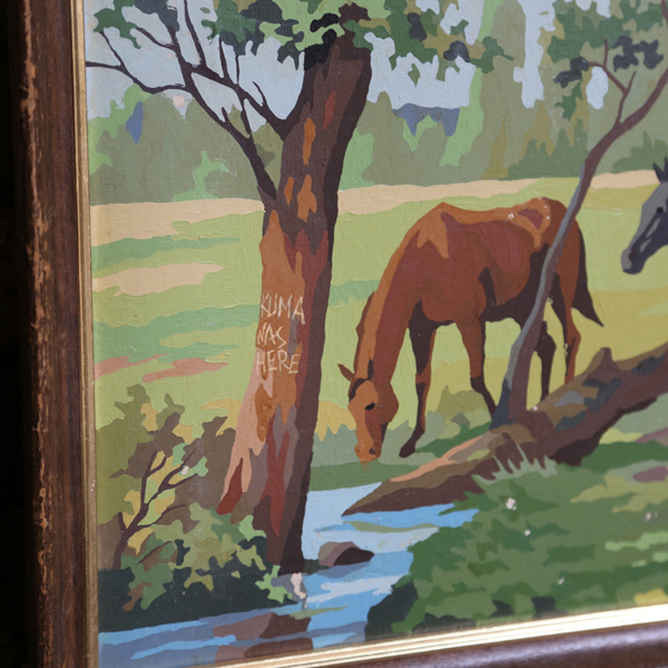 Carousel Image number 6